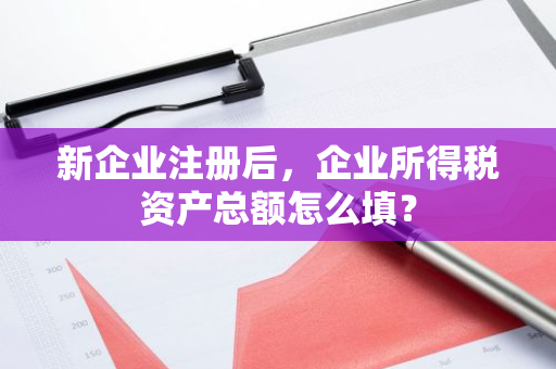 新企业注册后，企业所得税资产总额怎么填？