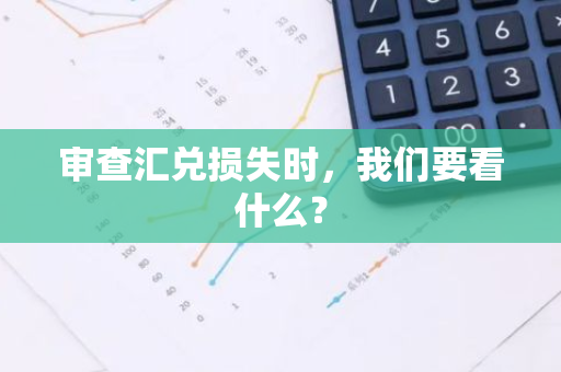 审查汇兑损失时，我们要看什么？