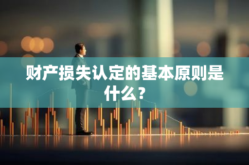 财产损失认定的基本原则是什么？