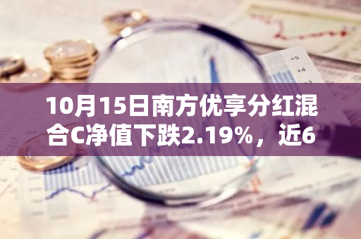 10月15日南方优享分红混合C净值下跌2.19%，近6个月累计上涨4.87%