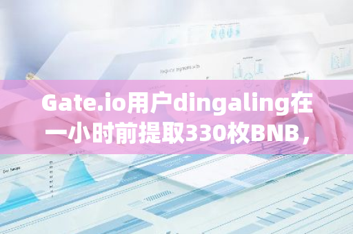 Gate.io用户dingaling在一小时前提取330枚BNB，计划用于购买Cheems