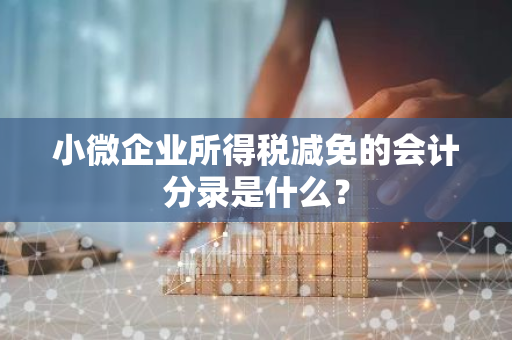 小微企业所得税减免的会计分录是什么？