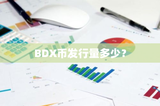 BDX币发行量多少？