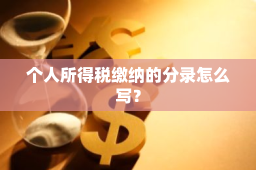 个人所得税缴纳的分录怎么写？