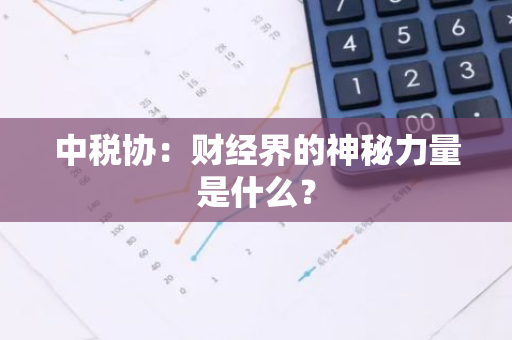 中税协：财经界的神秘力量是什么？