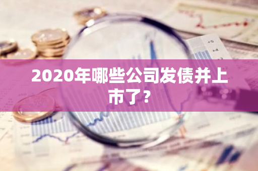 2020年哪些公司发债并上市了？