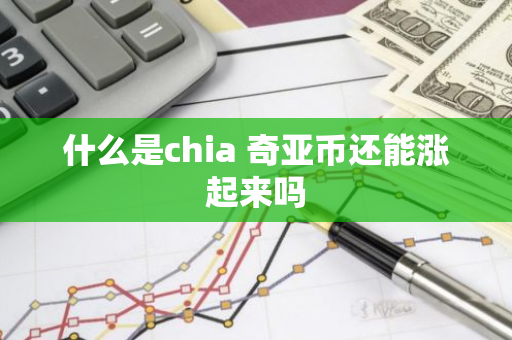 什么是chia 奇亚币还能涨起来吗