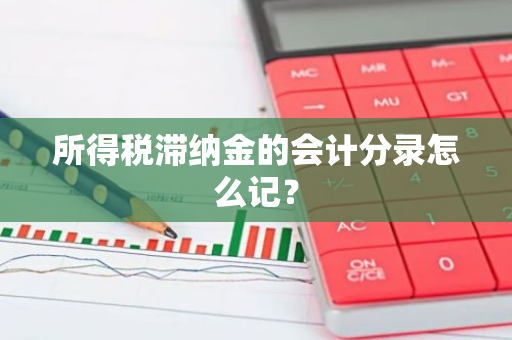 所得税滞纳金的会计分录怎么记？