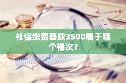 社保缴费基数3500属于哪个档次？