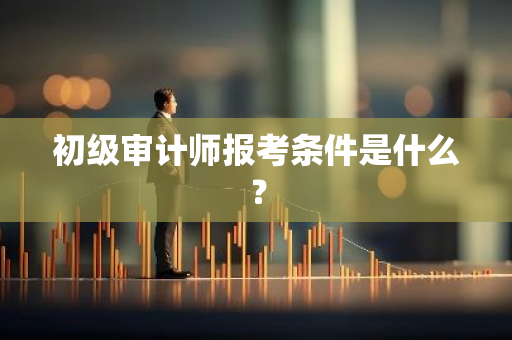 初级审计师报考条件是什么？