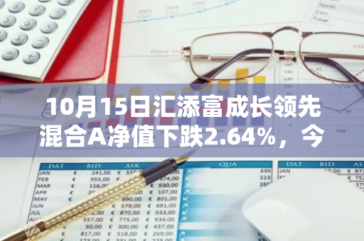 10月15日汇添富成长领先混合A净值下跌2.64%，今年来累计下跌1.22%