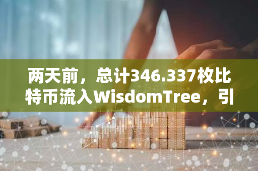 两天前，总计346.337枚比特币流入WisdomTree，引发市场关注