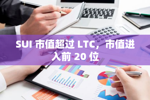 SUI 市值超过 LTC，市值进入前 20 位