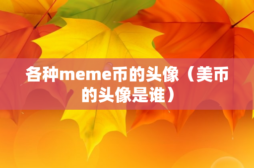 各种meme币的头像（美币的头像是谁）