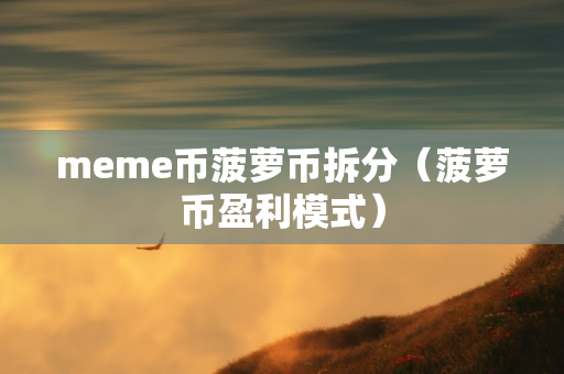 meme币菠萝币拆分（菠萝币盈利模式）