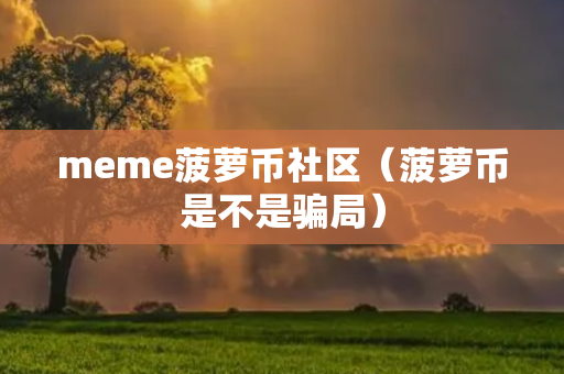 meme菠萝币社区（菠萝币是不是骗局）