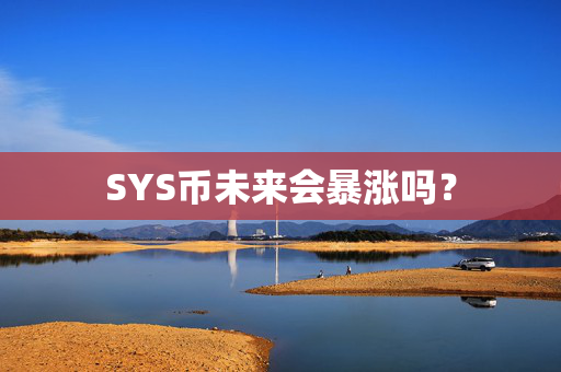 SYS币未来会暴涨吗？