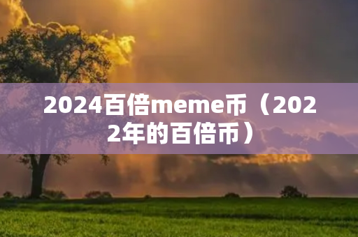 2024百倍meme币（2022年的百倍币）