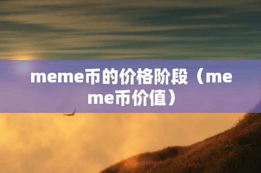 meme币的价格阶段（meme币价值）