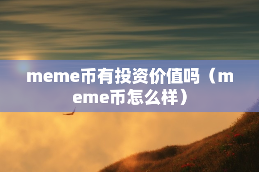 meme币有投资价值吗（meme币怎么样）