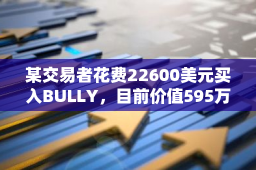 某交易者花费22600美元买入BULLY，目前价值595万美元