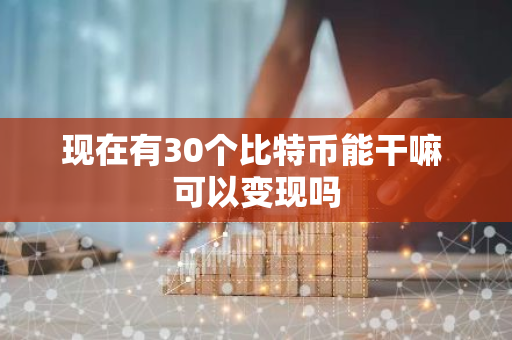 现在有30个比特币能干嘛 可以变现吗