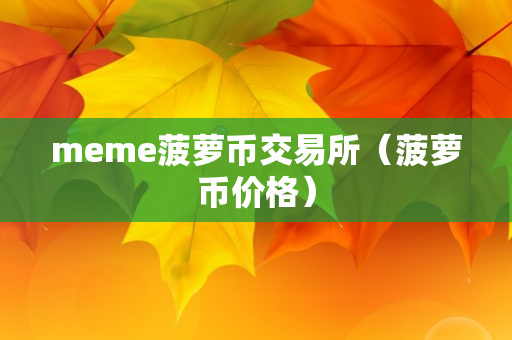 meme菠萝币交易所（菠萝币价格）