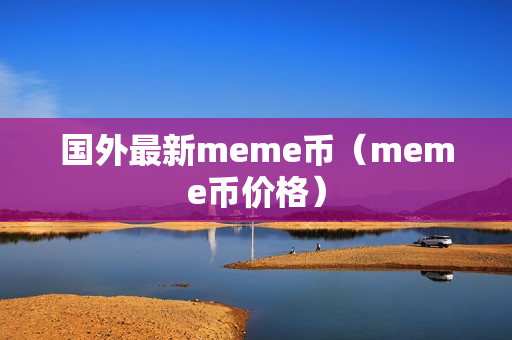 国外最新meme币（meme币价格）