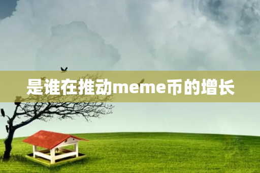 是谁在推动meme币的增长