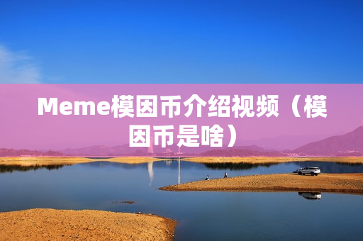 Meme模因币介绍视频（模因币是啥）