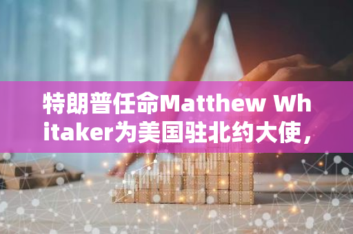 特朗普任命Matthew Whitaker为美国驻北约大使，展现对北约关系的重视和期待