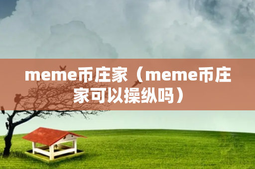 meme币庄家（meme币庄家可以操纵吗）