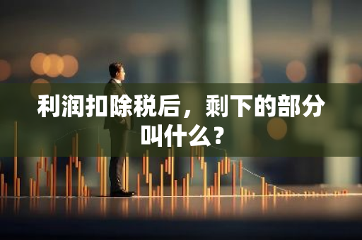 利润扣除税后，剩下的部分叫什么？