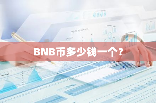 BNB币多少钱一个？