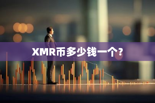 XMR币多少钱一个？