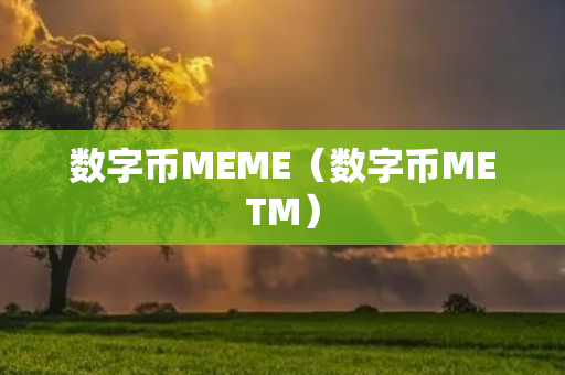 数字币MEME（数字币METM）