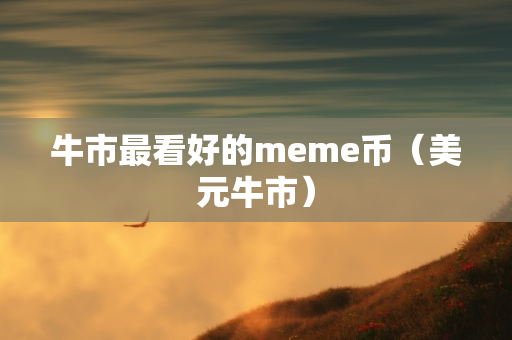 牛市最看好的meme币（美元牛市）