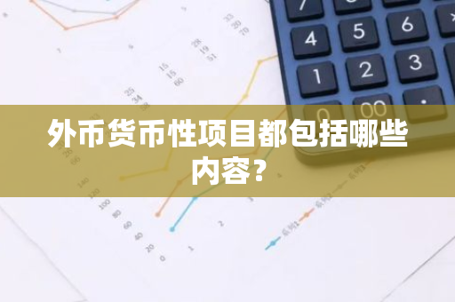 外币货币性项目都包括哪些内容？