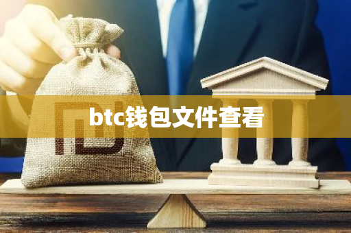 btc钱包文件查看