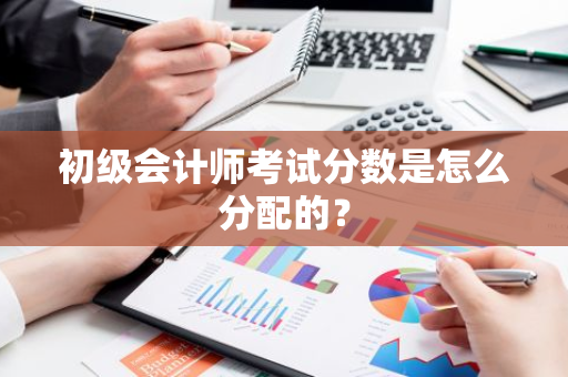 初级会计师考试分数是怎么分配的？