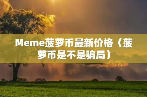 Meme菠萝币最新价格（菠萝币是不是骗局）