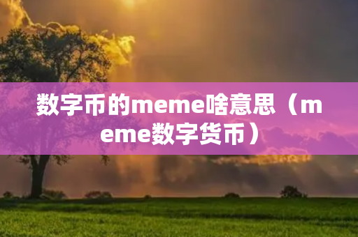 数字币的meme啥意思（meme数字货币）