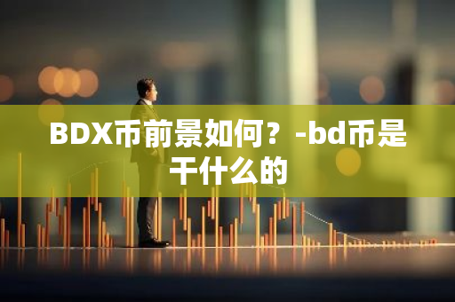 BDX币前景如何？-bd币是干什么的