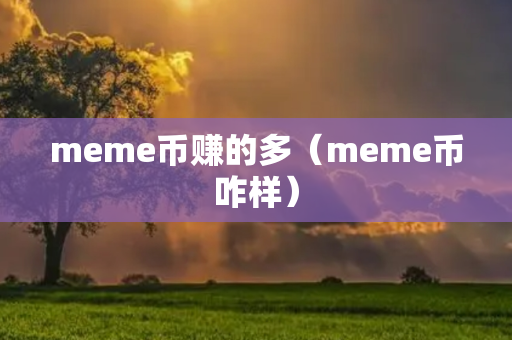 meme币赚的多（meme币咋样）