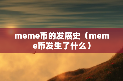 meme币的发展史（meme币发生了什么）