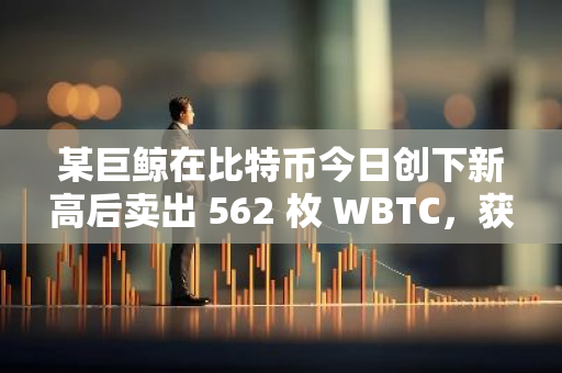 某巨鲸在比特币今日创下新高后卖出 562 枚 WBTC，获利 685 万美元