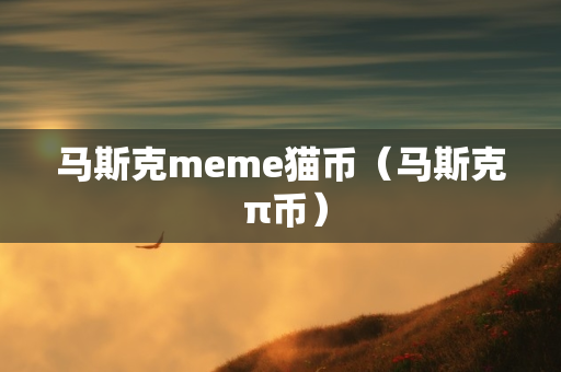 马斯克meme猫币（马斯克 π币）