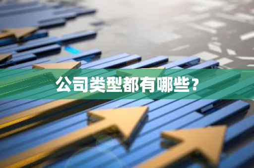 公司类型都有哪些？