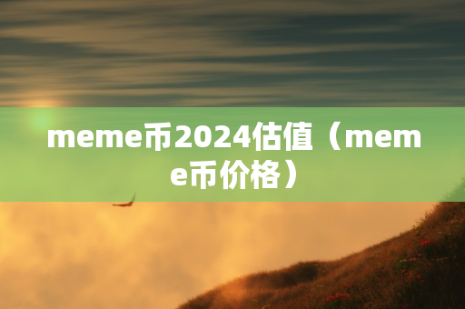 meme币2024估值（meme币价格）