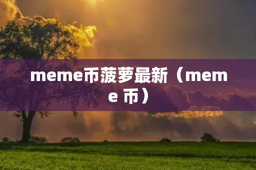 meme币菠萝最新（meme 币）